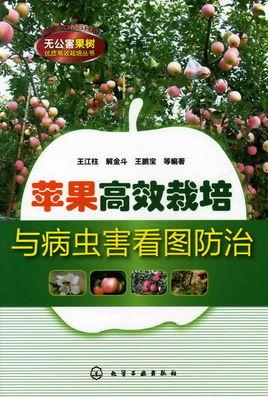 苹果高效栽培与病虫害看图防治